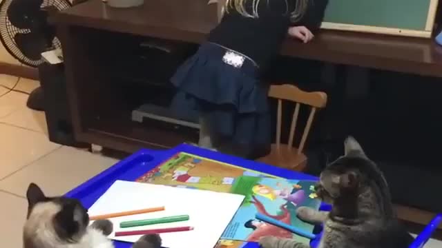 miss girl
