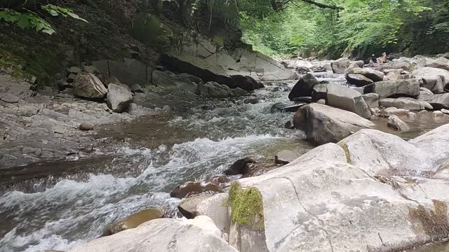 Mountain river in Transcarpathia 2