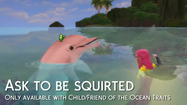ALL Dolphin Interactions - The Sims 4 Island Living_Cut