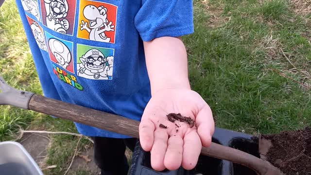 KIDDO'S CONTAINER GARDEN PT3 The Amazing Letter Worm