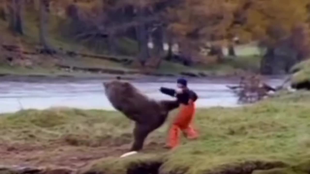 Kongfu bear watch till the end