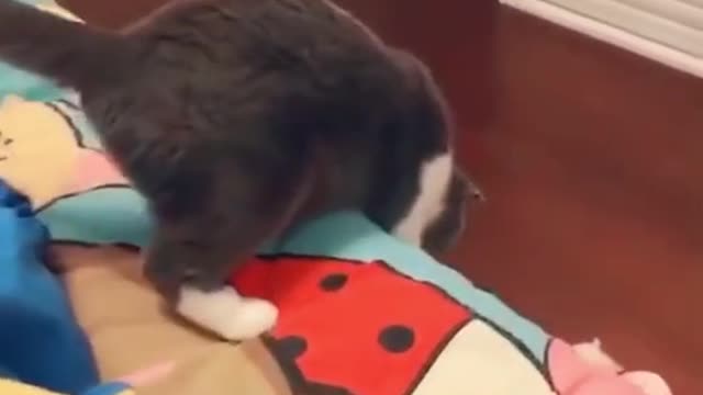 What is it doing?