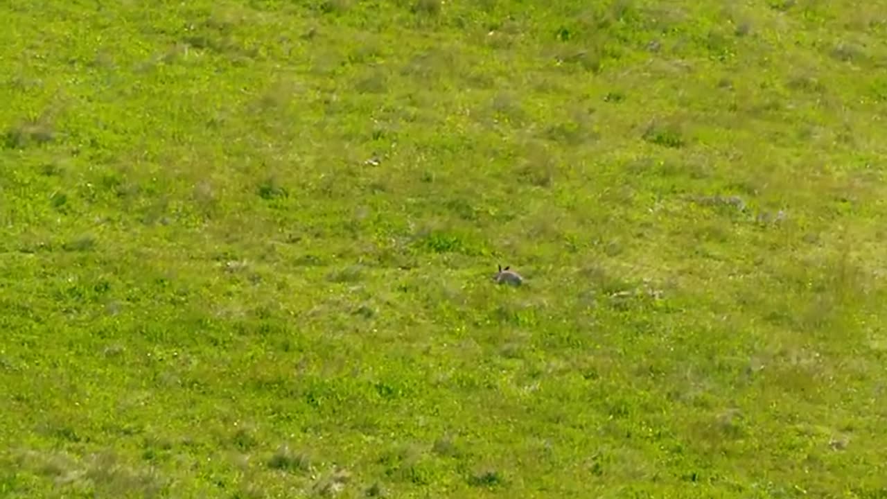 Adversity Teaches You To Push Beyond Your Limits #shorts #shortsvideo #video #viral