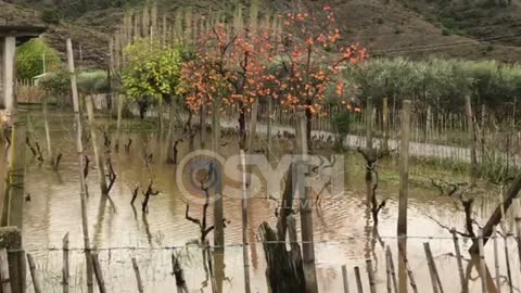Nën rrebeshet e shiut, mes ujit: pamje pa koment nga fshati Bardhaj i Shkodrës
