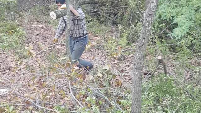 My Turkish husband is strong enough to carry large logs alone which have been cut