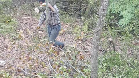 My Turkish husband is strong enough to carry large logs alone which have been cut