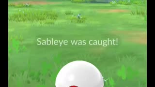 Pokémon GO-Shadow Sableye