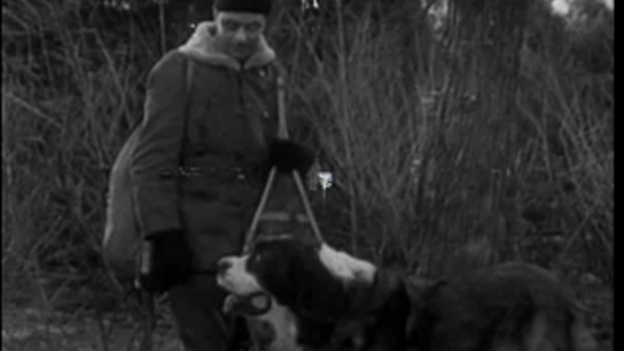 Call of the Yukon (1938)