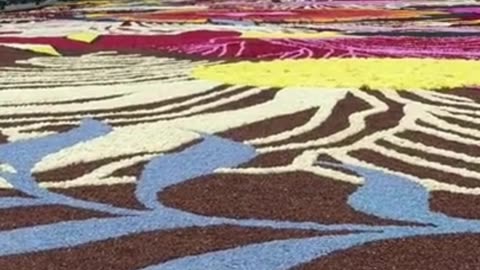 Brussels Flower Carpet BELGIUM 2024 #trending #shorts