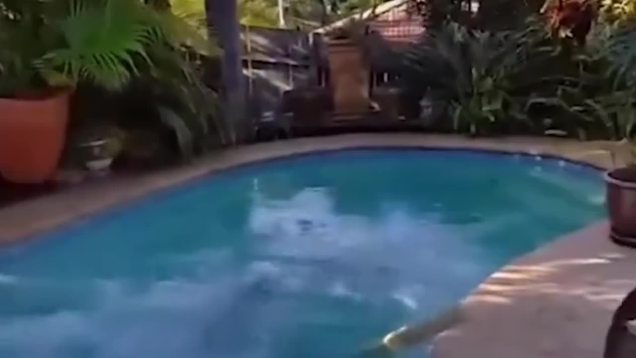 Best Fails Short Comapilation😂Try Not To Laugh Challange😂You Laugh You Lose😂 Funny Memes