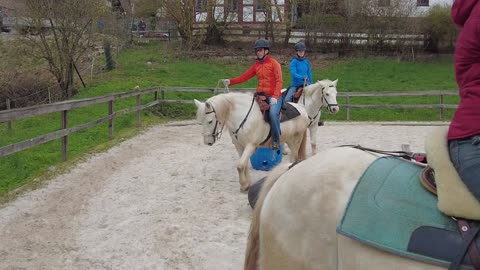 Wanderreitschule - Einstiegskurs