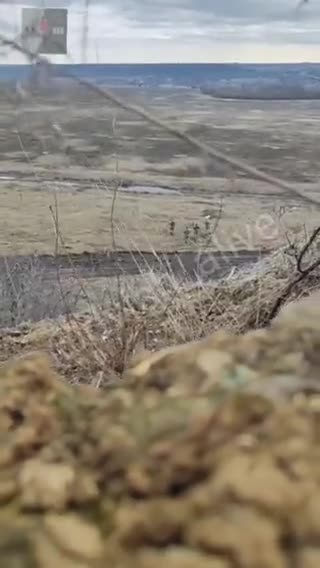 Surrender and you die