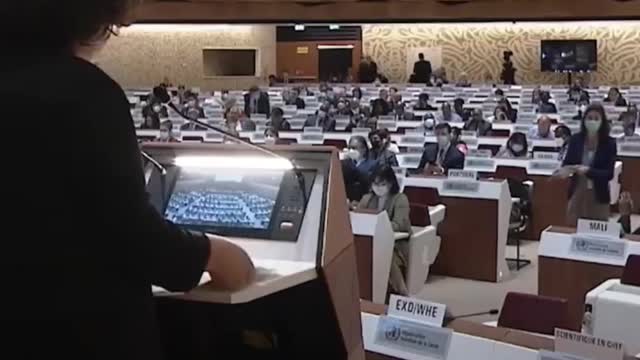 El globalisml de los fernandez