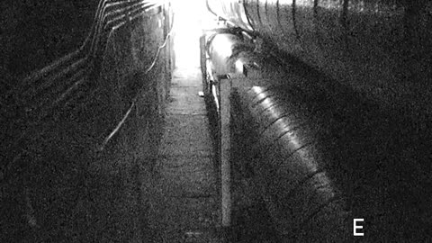 8507TUNN00VioletTunnel1225_2021-01-06_04h45min01s087ms.mp4