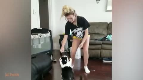 Try not to laugh - the 100 funny moment baby cover cat - funny cat and babies playing together