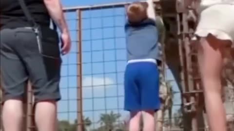 Funny And Cute Animal Videos Try Not To Laugh Or Smile