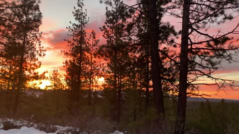 Happy New Year! – Central Oregon – Vista Butte Sno-Park – 4K