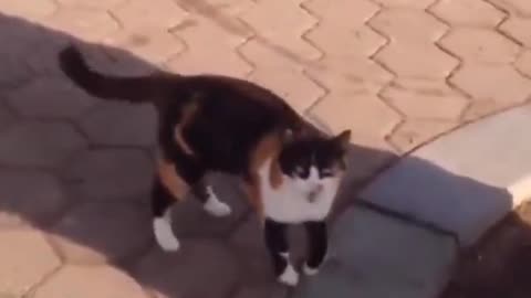 Guess I am not going home alone today