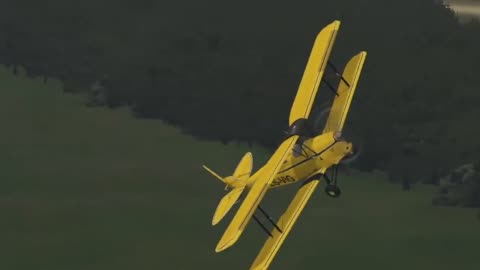 Tiger Moth.