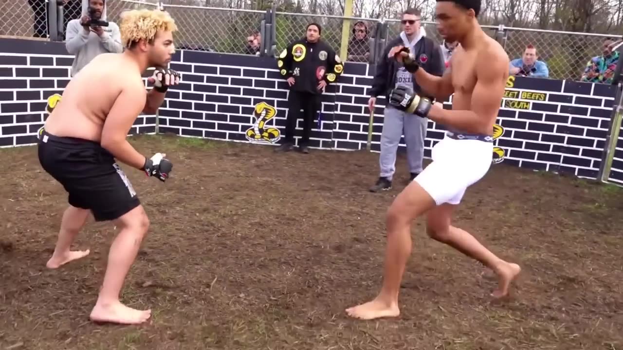30 Minutes of MMA & Boxing