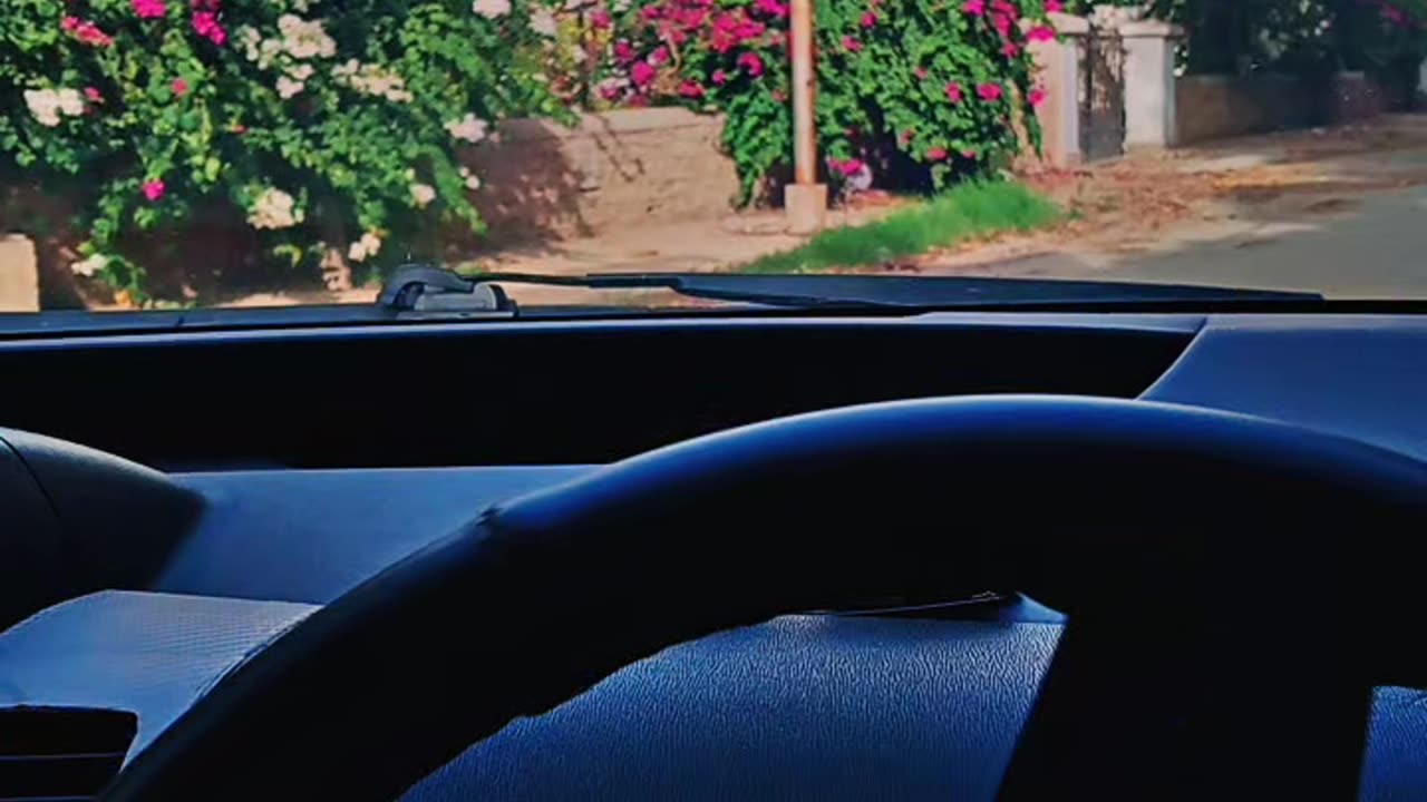 Toyota Prius driving