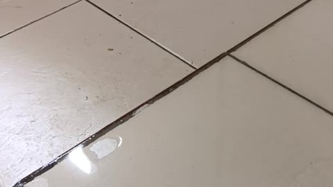 Plumbing problem?