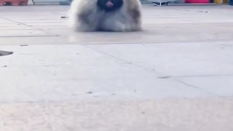 what is it 🥰🥰🥰🥰😂😂😂😂