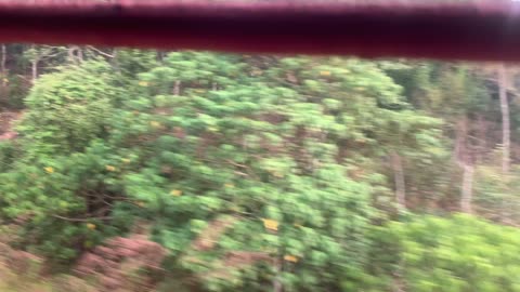 Travel in Train