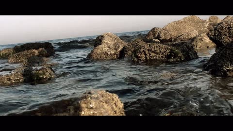 Cinematic video Saudi Arabia