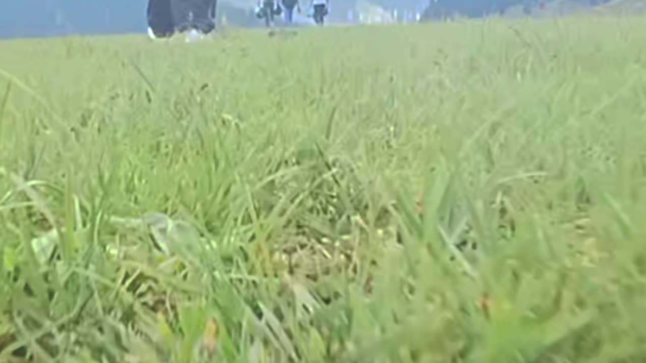 Nature baeuty attractive