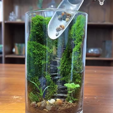 Creating a beautiful garden inside a jar!
