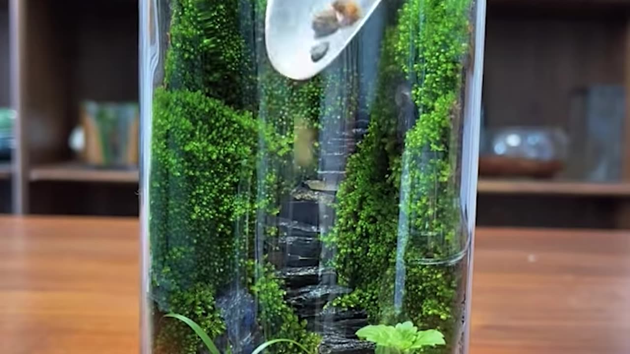 Creating a beautiful garden inside a jar!