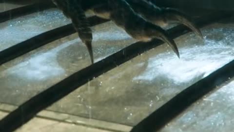 Jurassic world 3