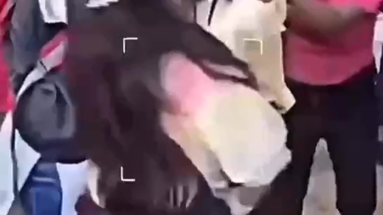 Girls Fighting
