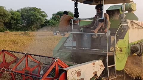 Rice cutting machine
