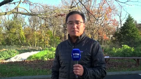 미국에 부는 '김치 열풍'...대미 수출액 10배 증가 / YTN