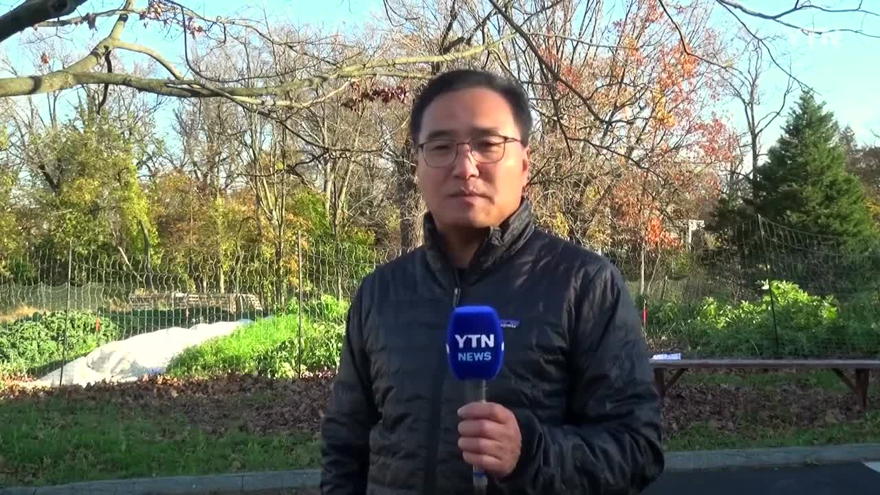 미국에 부는 '김치 열풍'...대미 수출액 10배 증가 / YTN