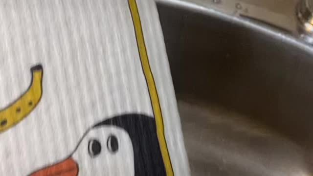 Hanif Homes has incredible cloths…saves $$ on paper towels