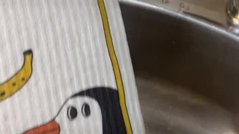 Hanif Homes has incredible cloths…saves $$ on paper towels