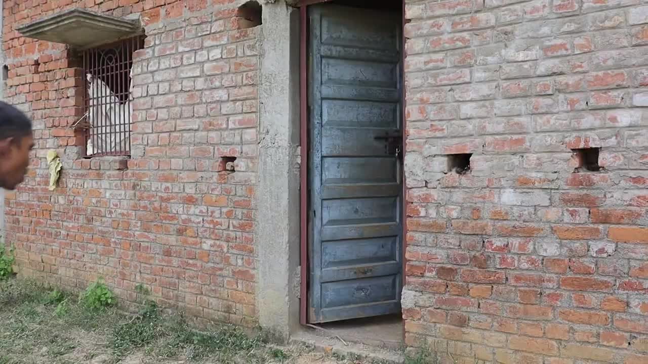 Must Watch New Funny Video | Really Amazing Story | Family Fun Masti