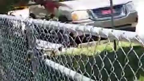 Car Still on Fire With Man Inside