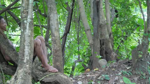 Shrimp eating in jungle, cooking on a rock | Primitive Wildlife-3
