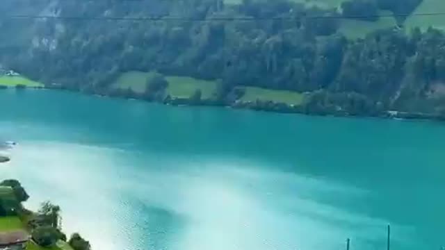 nature