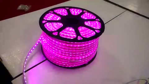 Ac110v 220v Outdoor Decoration Rgb 5050 Waterproof Ip65 Led Strip Lights