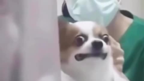 🤣🤣🤣🤣🤣