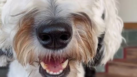 she looked so pleased when she was done.