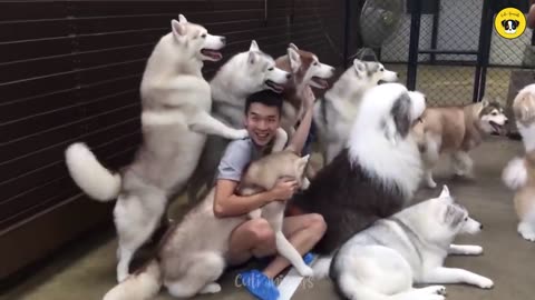 Funny animals 2023