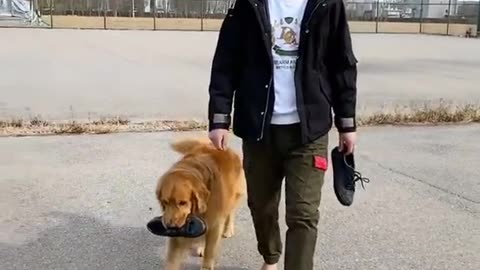 The dog and the owner took the ball and the ending