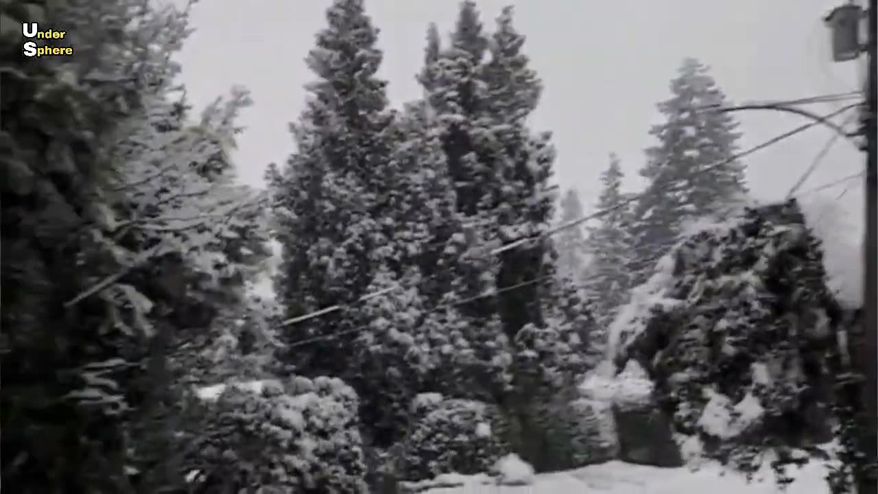 5 minutes ago! Arctic blast Paralyzes B.C, Canada! snowfall canada! snow storm 2024! vancouver snow