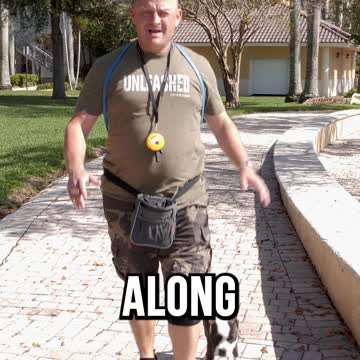 The Best Dog Training Black Friday Deal